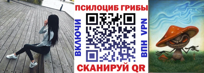 Псилоцибиновые грибы GOLDEN TEACHER Печора